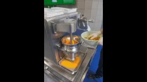 Вертикальный экструзионный гранулятор корзинного типа